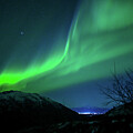 Curtains of Light
