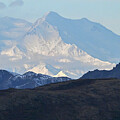 Denali Peeking Out