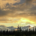 Golden Sky