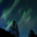 Orions Lights